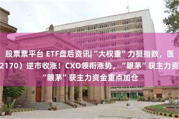 股票票平台 ETF盘后资讯|“大权重”力挺指数，医疗ETF（512170）逆市收涨！CXO领衔涨势，“眼茅”获主力资金重点加仓