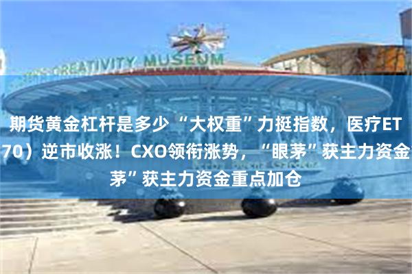 期货黄金杠杆是多少 “大权重”力挺指数，医疗ETF（512170）逆市收涨！CXO领衔涨势，“眼茅”获主力资金重点加仓