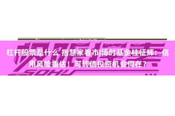 杠杆股票是什么 指慧家看市|博时基金桂征辉：信用风险重估！可转债投资机会何在？