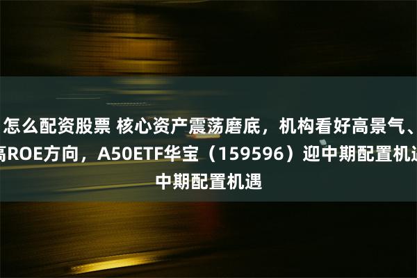 怎么配资股票 核心资产震荡磨底，机构看好高景气、高ROE方向，A50ETF华宝（159596）迎中期配置机遇