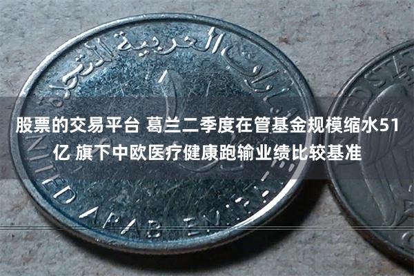 股票的交易平台 葛兰二季度在管基金规模缩水51亿 旗下中欧医疗健康跑输业绩比较基准