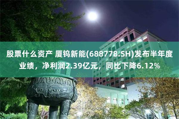 股票什么资产 厦钨新能(688778.SH)发布半年度业绩，净利润2.39亿元，同比下降6.12%