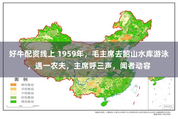 好牛配资线上 1959年，毛主席去韶山水库游泳，遇一农夫，主席呼三声，闻者动容