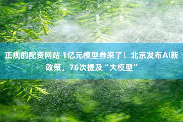 正规的配资网站 1亿元模型券来了！北京发布AI新政策，76次提及“大模型”