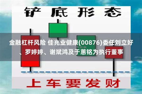 金融杠杆风险 佳兆业健康(00876)委任刘立好、罗婷婷、谢斌鸿及于蕙铭为执行董事