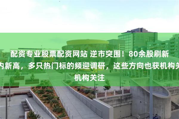 配资专业股票配资网站 逆市突围！80余股刷新年内新高，多只热门标的频迎调研，这些方向也获机构关注