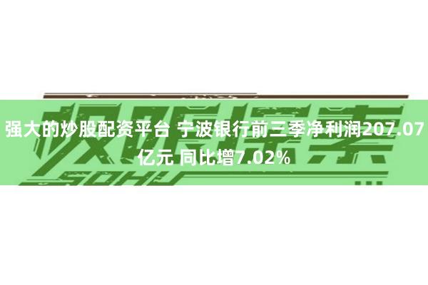 强大的炒股配资平台 宁波银行前三季净利润207.07亿元 同比增7.02%