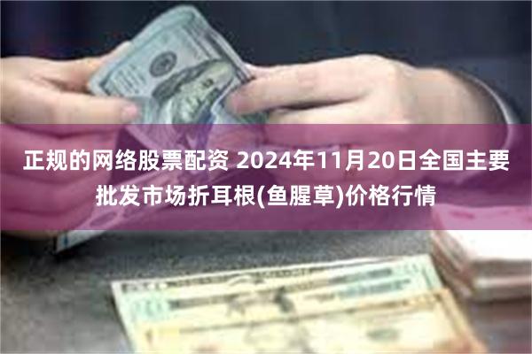 正规的网络股票配资 2024年11月20日全国主要批发市场折耳根(鱼腥草)价格行情