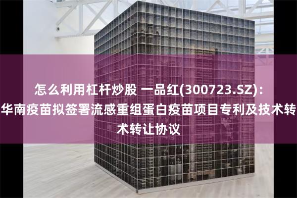 怎么利用杠杆炒股 一品红(300723.SZ)：子公司华南疫苗拟签署流感重组蛋白疫苗项目专利及技术转让协议