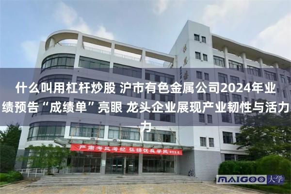 什么叫用杠杆炒股 沪市有色金属公司2024年业绩预告“成绩单”亮眼 龙头企业展现产业韧性与活力