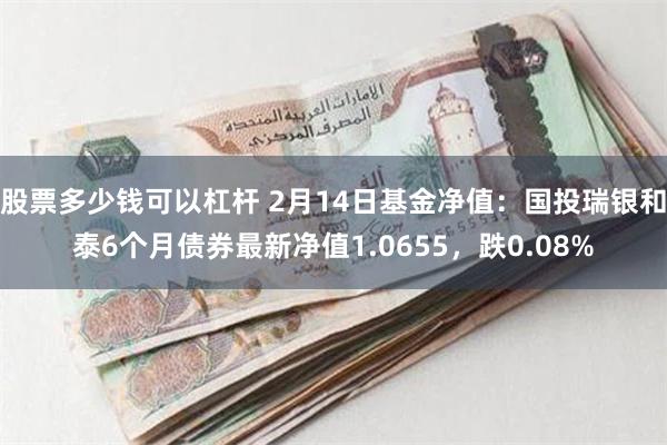 股票多少钱可以杠杆 2月14日基金净值：国投瑞银和泰6个月债券最新净值1.0655，跌0.08%