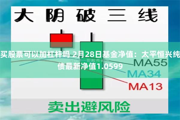 买股票可以加杠杆吗 2月28日基金净值：太平恒兴纯债最新净值1.0599